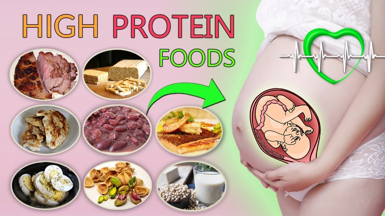 Protein in Your Pregnancy Diet