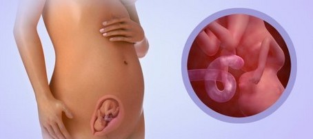18 Weeks Pregnant 4