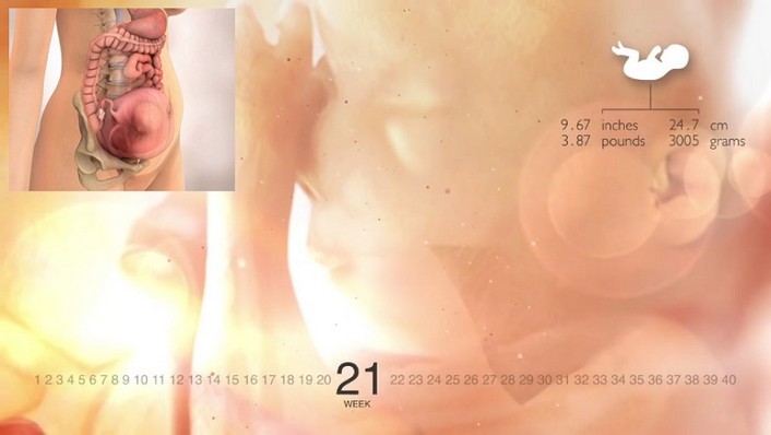 21 Weeks Pregnant
