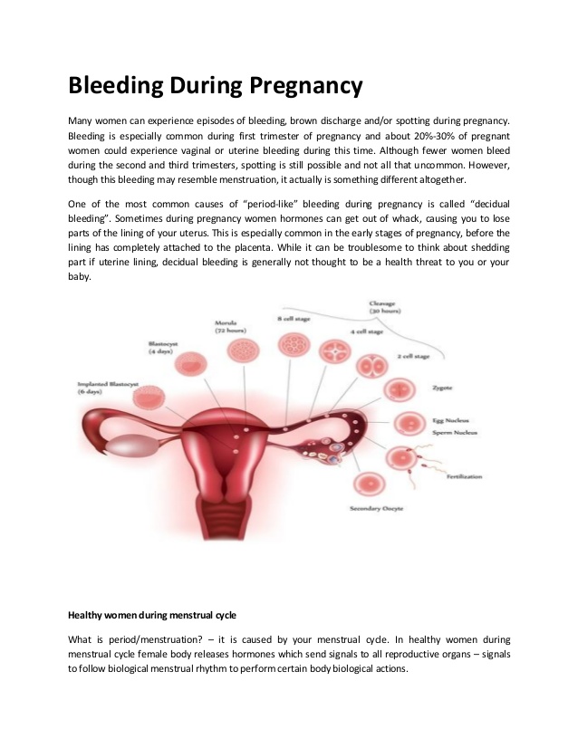 Bleeding During Pregnancy 1