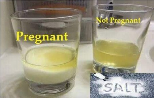 Homemade Pregnancy Test 1