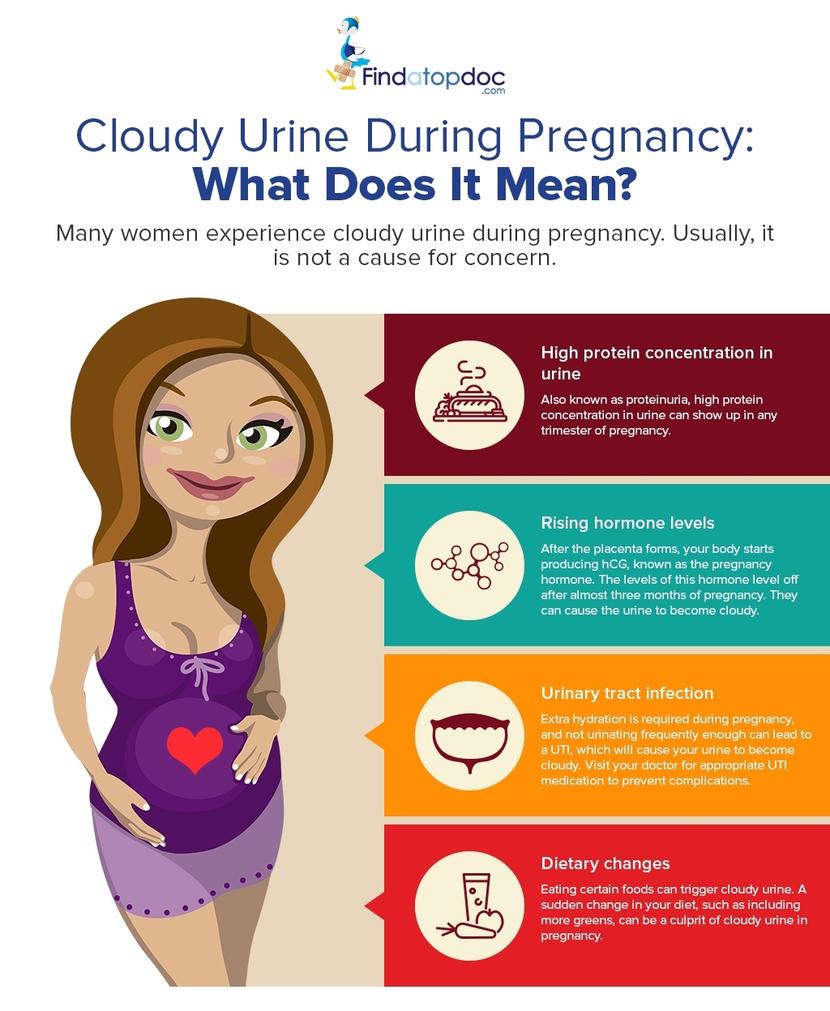 Protein In Urine During Pregnancy 2