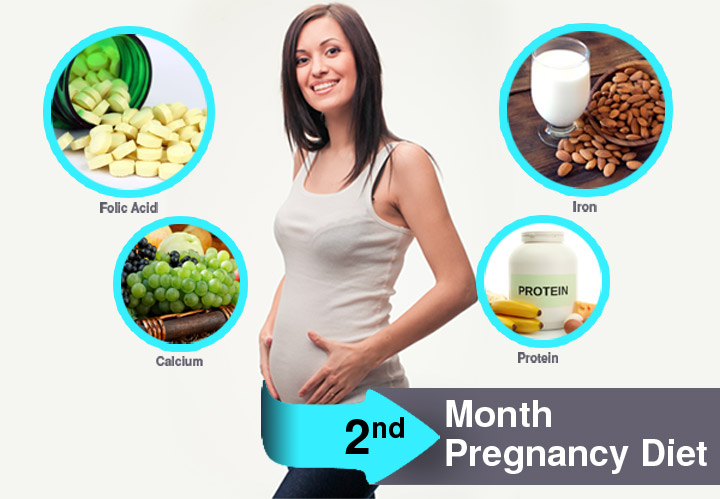 The Pregnancy Diet 2