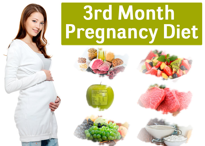 The Pregnancy Diet 3