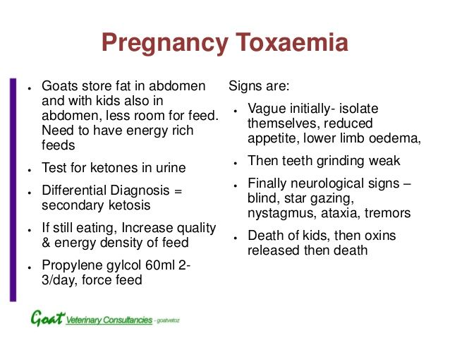 Toxemia In Pregnancy
