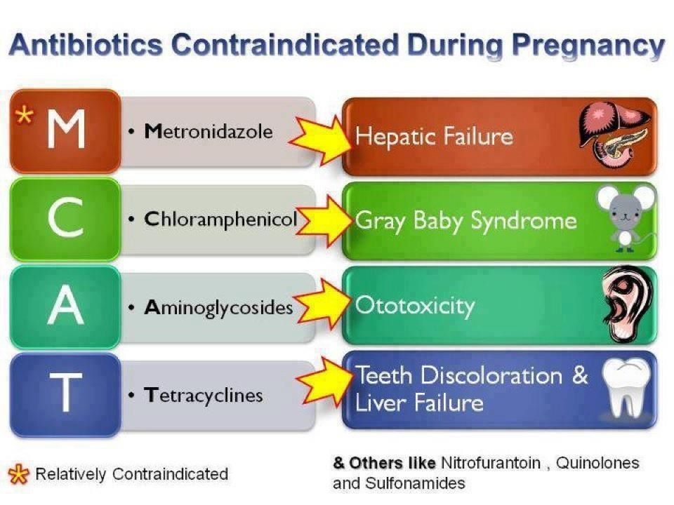 Antibiotics During Pregnancy 1