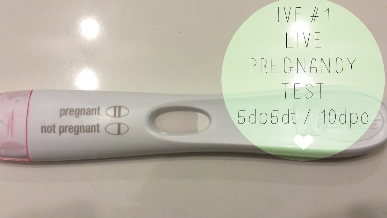IVF And Pregnancy 1