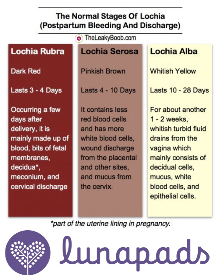 Postpartum Bleeding 1