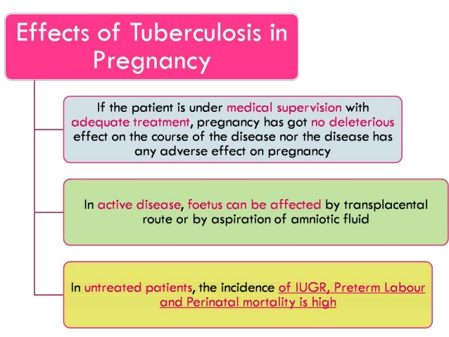 Tuberculosis In Pregnancy 2