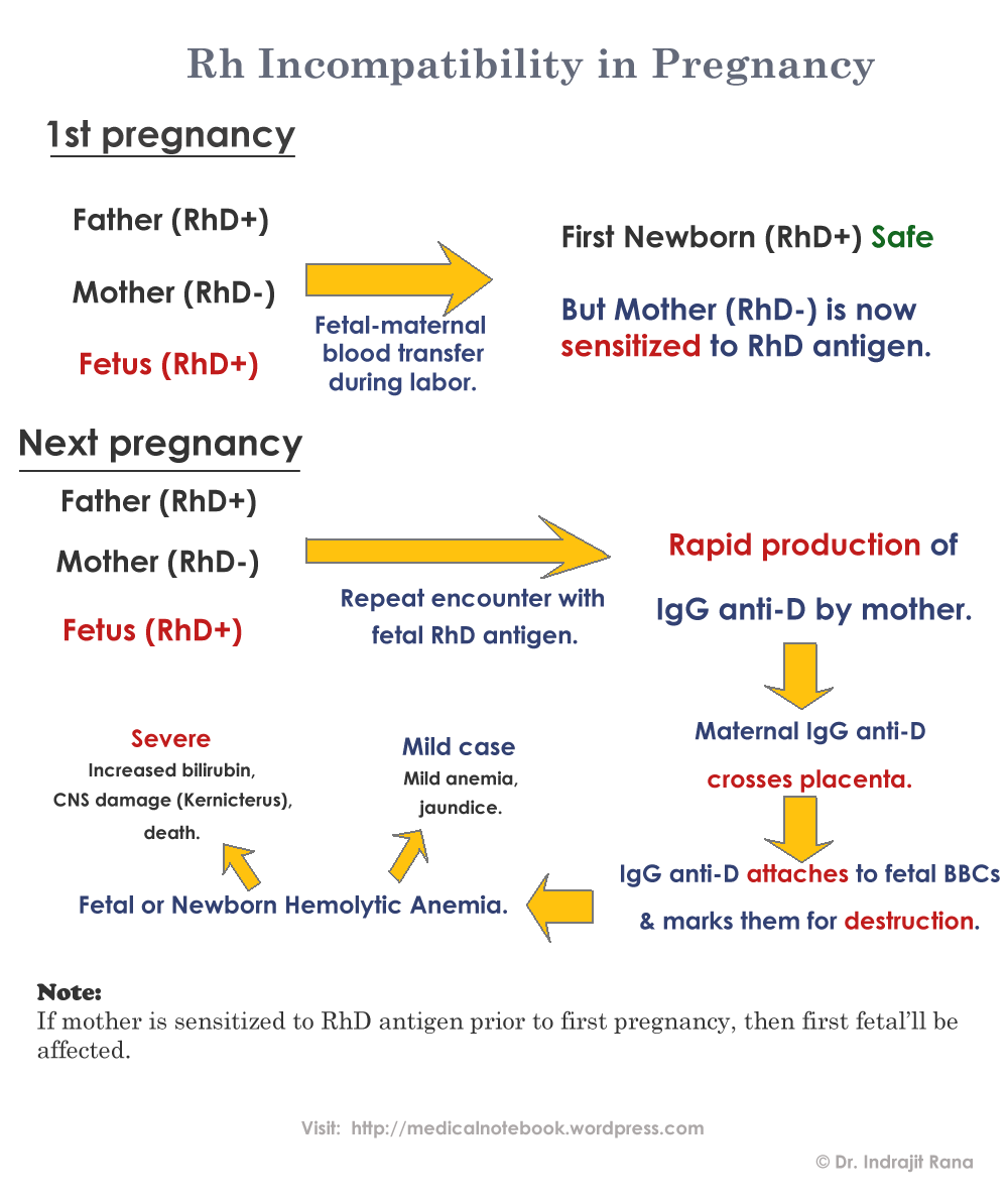 RH Incompatibility In Pregnancy 1