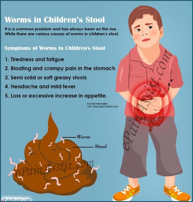 Pinworms In Children 4