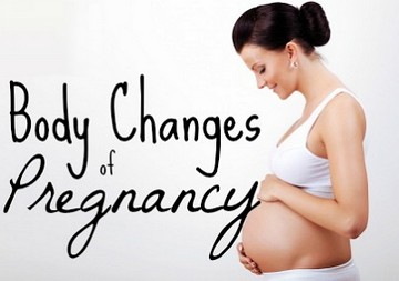 Body Changes During Pregnancy