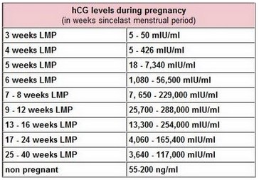 HCG Levels In Early Pregnancy 1