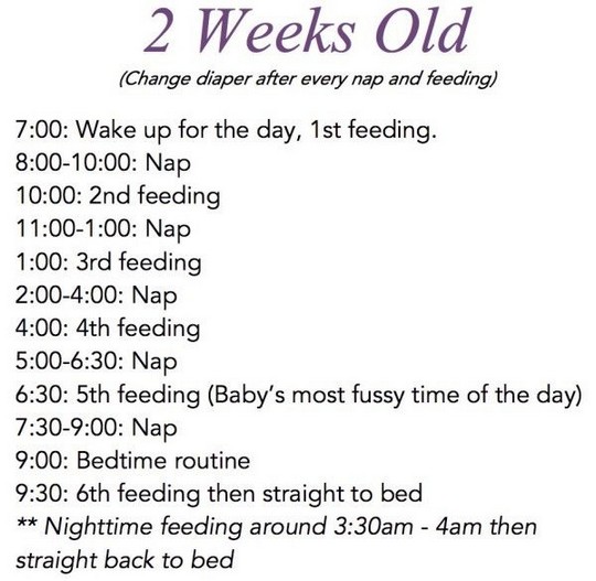 what to feed a 2 month old baby