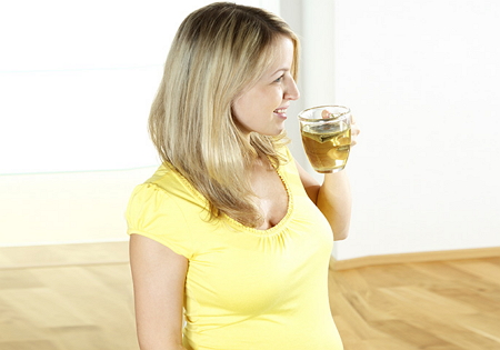Rooibos Tea During Pregnancy